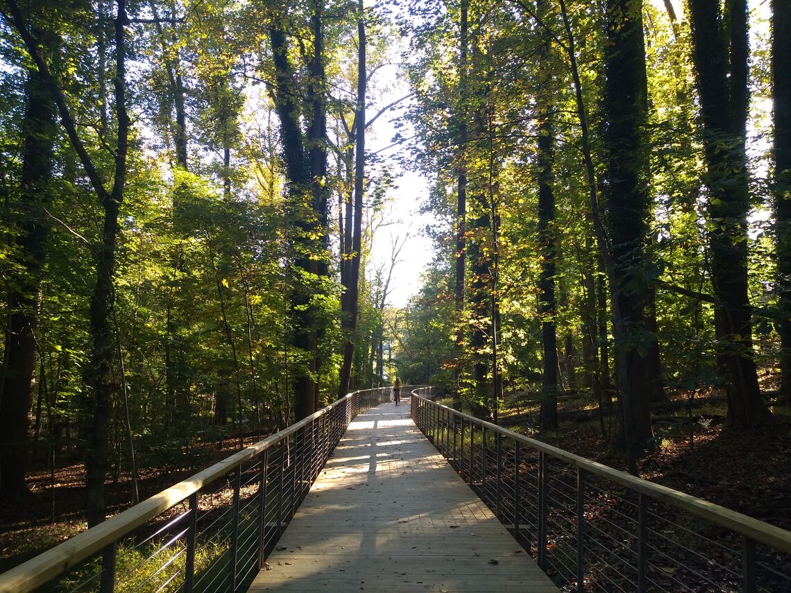Phase V of the Jones Falls Trail